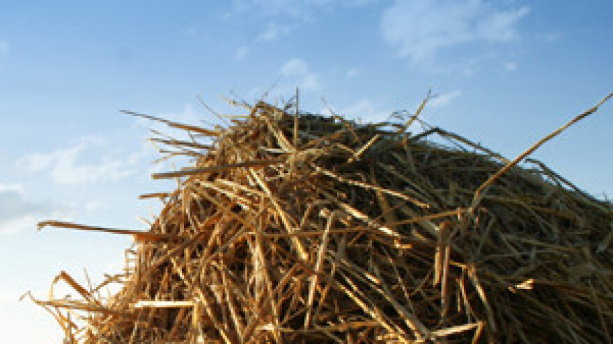 Obilježavanje 60. godina Društva agronoma Osijek