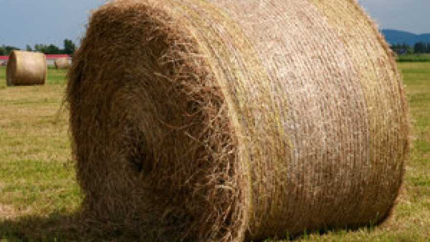 Apsurd u Agenciji za plaćanja u poljoprivredi