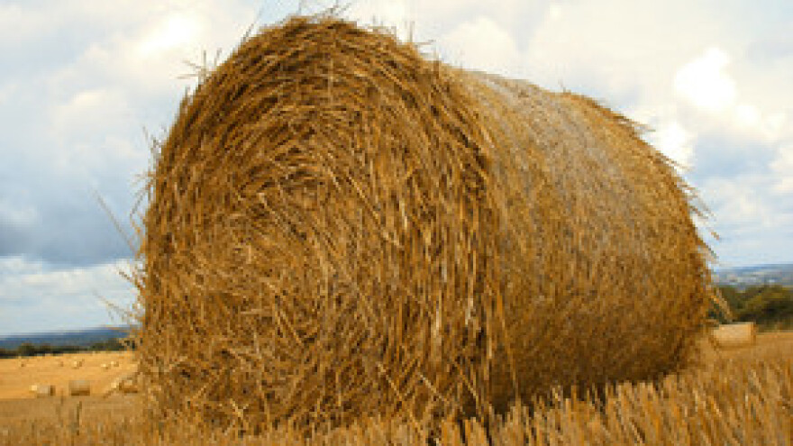 Poljoprivredna komora traži hitan sastanak udrugom banaka