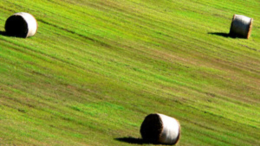 Vrijeme je za košnju travnjaka