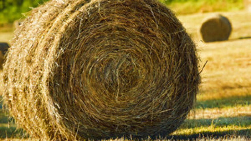 Radnike u poljoprivredi štiti pravilnik iz 1968.