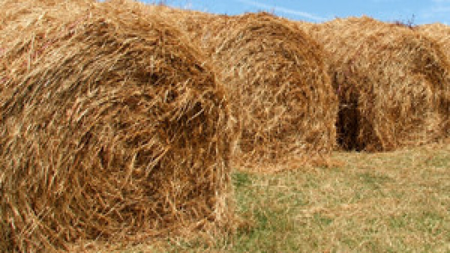 Poljoprivreda ima najveći potencijal u jugo-istočnoj Europi