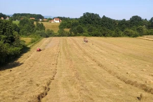 Visoki prinosi  "oborili" cijenu baliranog sijena