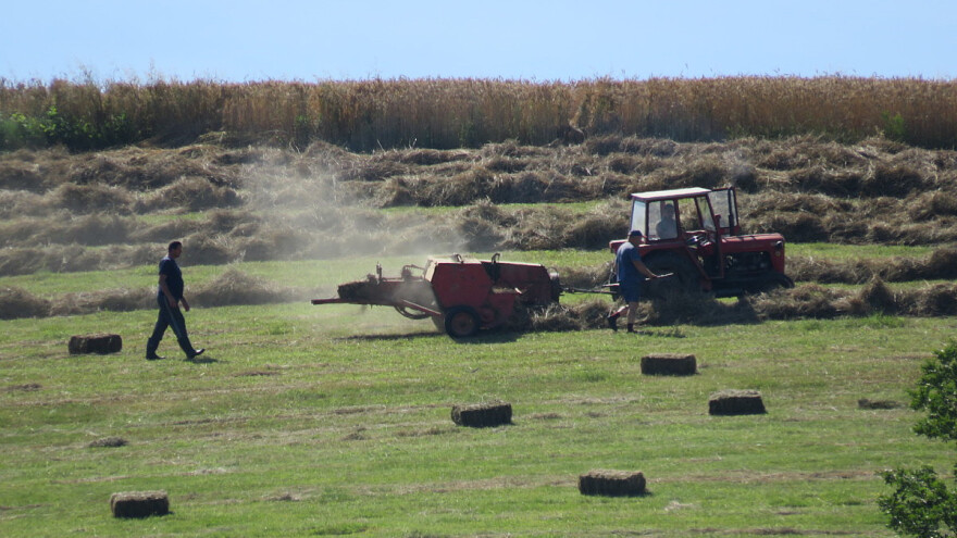 Bulut: Nije istina da smo zadovoljni programom, dinamikom i veličinom poticaja u Federaciji
