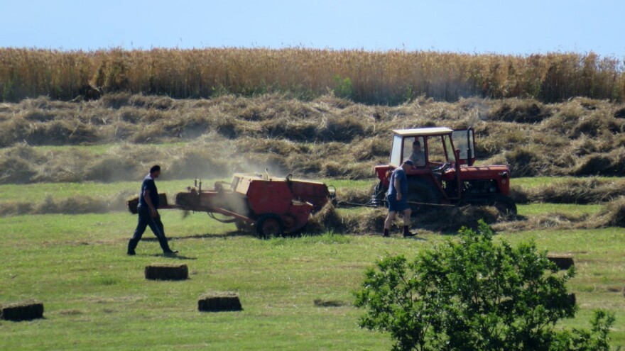 Za podršku poljoprivredi u TK planirano 10,8 miliona KM