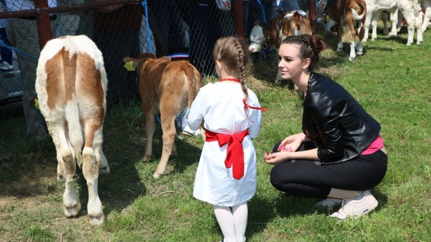 Najmlađi i najslađi na Bambino kupu: uzgoj goveda ima budućnost u Hrvatskoj