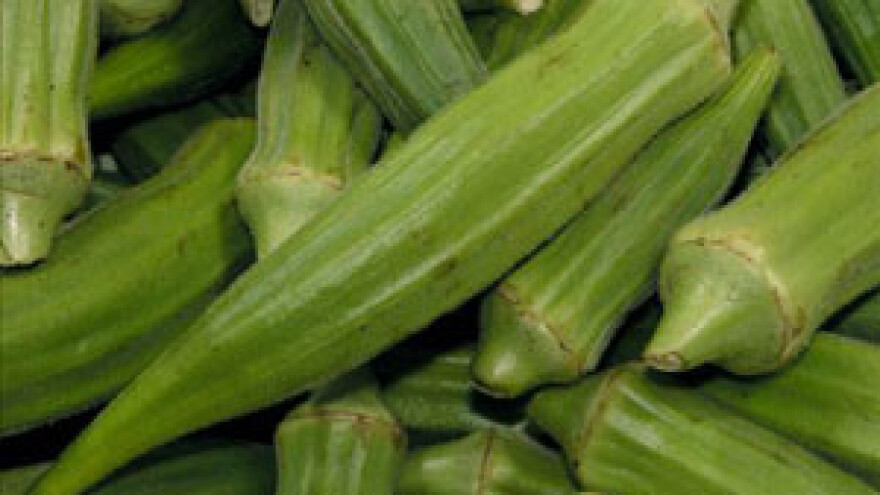 Bamija - lijek ili hrana