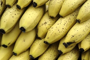 Banane će postati najrjeđe voće?