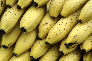 Banane će postati najrjeđe voće?
