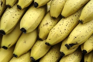 Banane će postati najrjeđe voće?