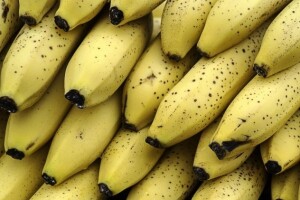 Banane će postati najrjeđe voće?