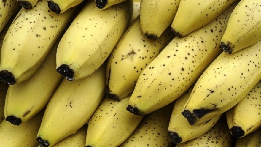 Banane će postati najređe voće?