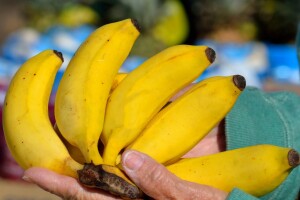 Razmišljaš li o klimi kad kupuješ banane ili hranu u plastičnoj ambalaži?