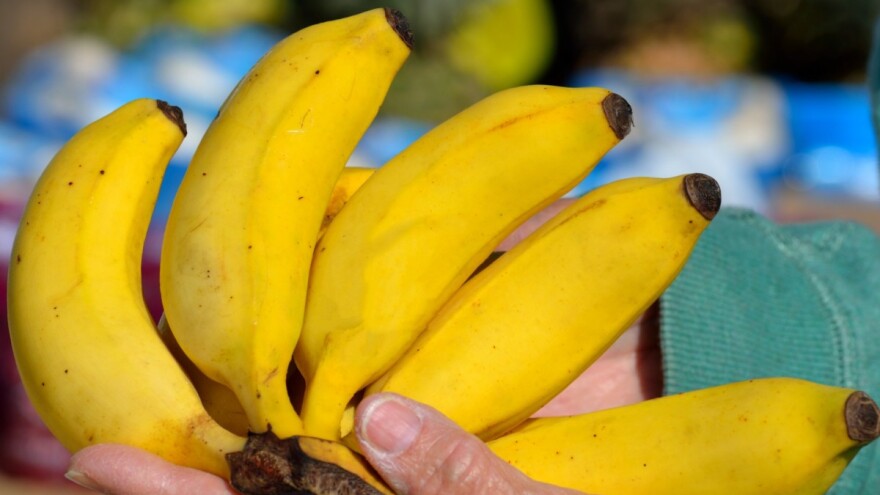 Razmišljaš li o klimi kad kupuješ banane ili hranu u plastičnoj ambalaži?