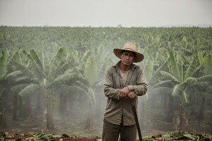 Bananizacija na štetu ljudi i okoliša