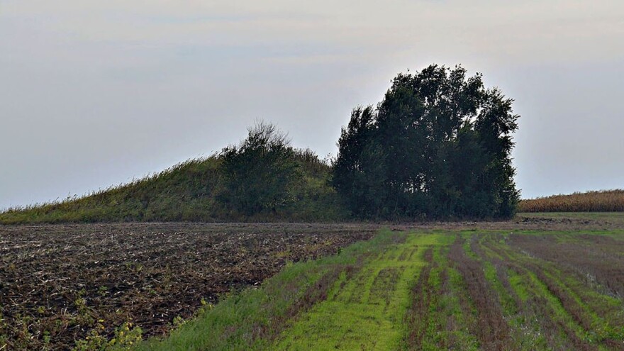 Banat: Komasacija izaziva (ne)zadovoljstvo