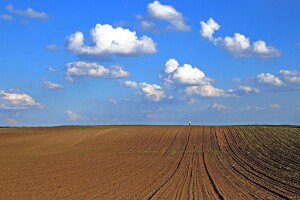 Značaj mjerenja pH vrijednosti zemljišta i otopine gnojiva