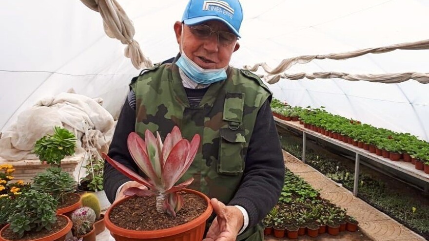 Park prijateljstva u Medoševcu - mesto za slikanje i ljubitelje cveća