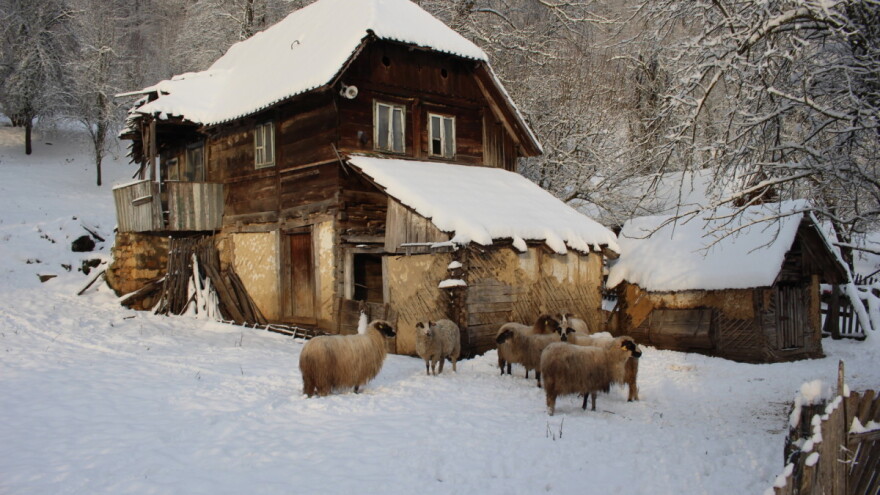 Novih 1,78 milijuna eura potpore iz Programa ruralnog razvoja u Sisačko-moslavačkoj županiji