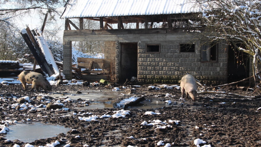 Vučković na Vijeću ministara zatražila dodatne mjere pomoći za pogođena područja