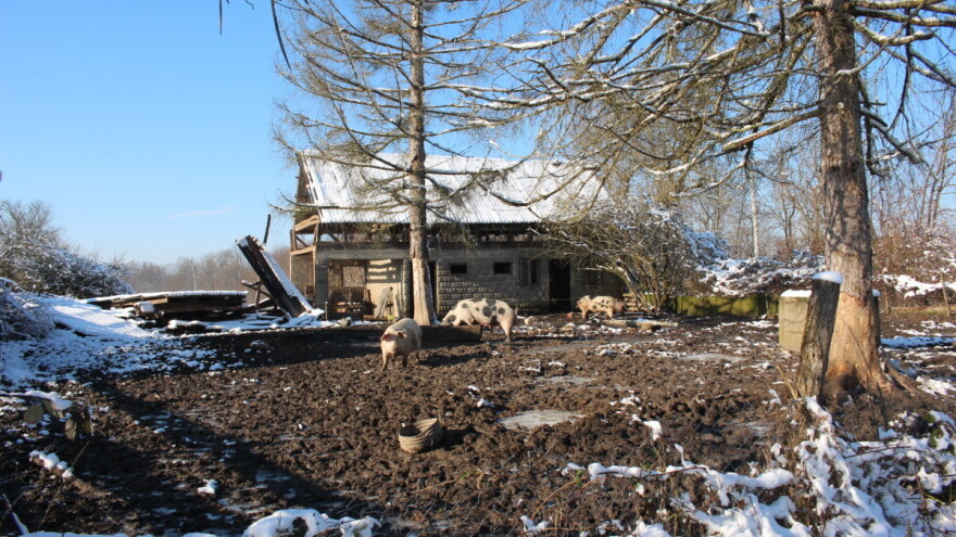 U ožujku natječaj iz Mjere 5, pomoć obnovi stradalih poljoprivrednih gospodarstava