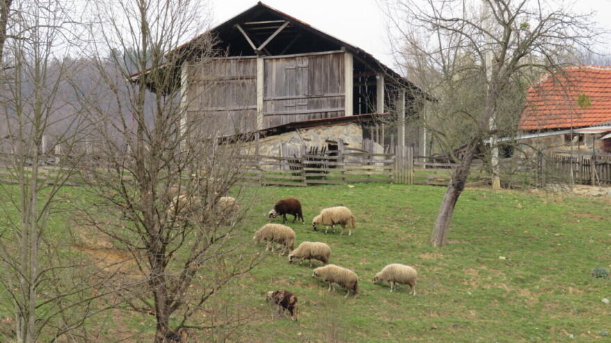 Naučnici sa Fakulteta veterinarske medicine proučavaće uticaj rudarenja jadarita na životinje