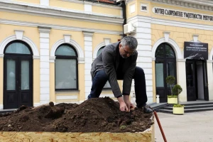 Gaji krompir u obliku portreta Vincenta van Gogha!
