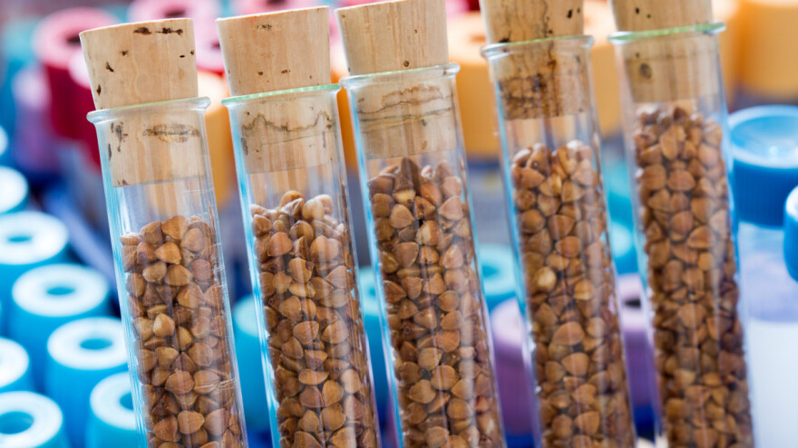 U Križevcima čuvaju sjeme 350 vrsta povrća prikupljenog diljem Hrvatske