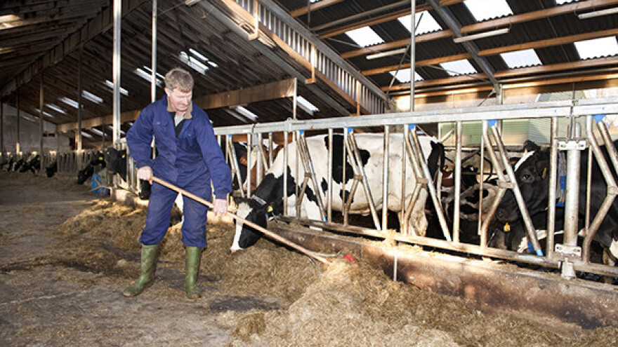 Brojne farme u Francuskoj pred bankrotom
