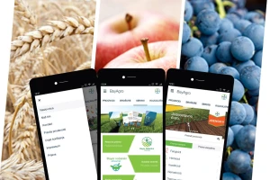BayAgro: Od sada sve Bayerove novosti i informacije na pametnom telefonu!