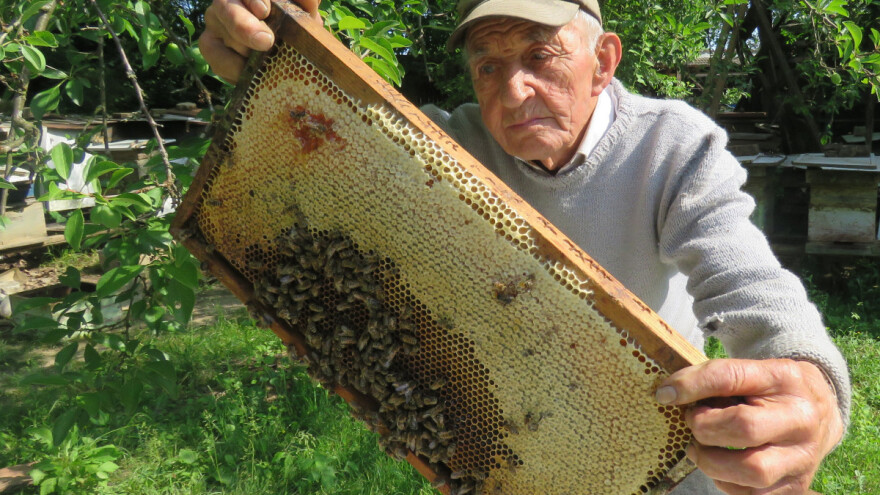 Ivi Banovčiću danas je 91 godina, pčelari punih 81 i kaže: Ja sam najsretniji čovjek na svijetu!