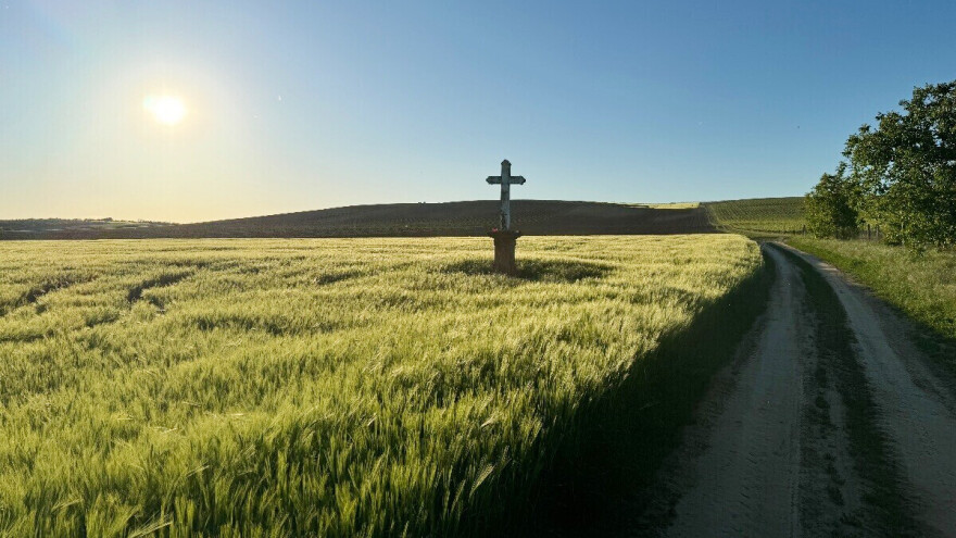 Osiguranje usjeva samo uz punu uplatu premije bez obzira na sufinanciranje Ministarstva?