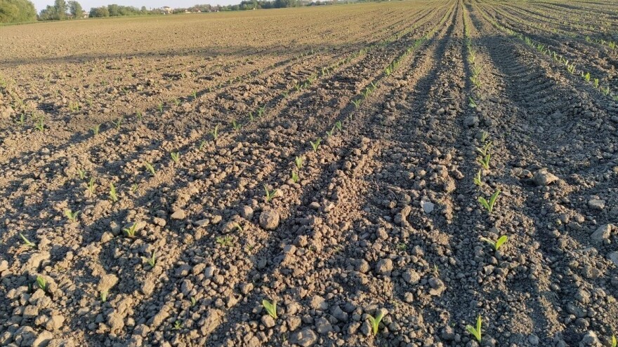 Otvoren javni poziv: 500.000 kuna za osječko-baranjske poljoprivrednike