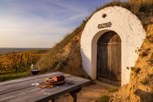 Baranja - majka vina i tradicije