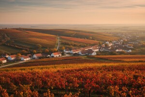 Baranja, skriveni turistički biser
