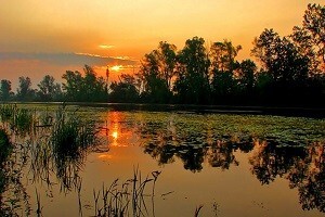 Slavonija i Baranja imaju ogroman potencijal