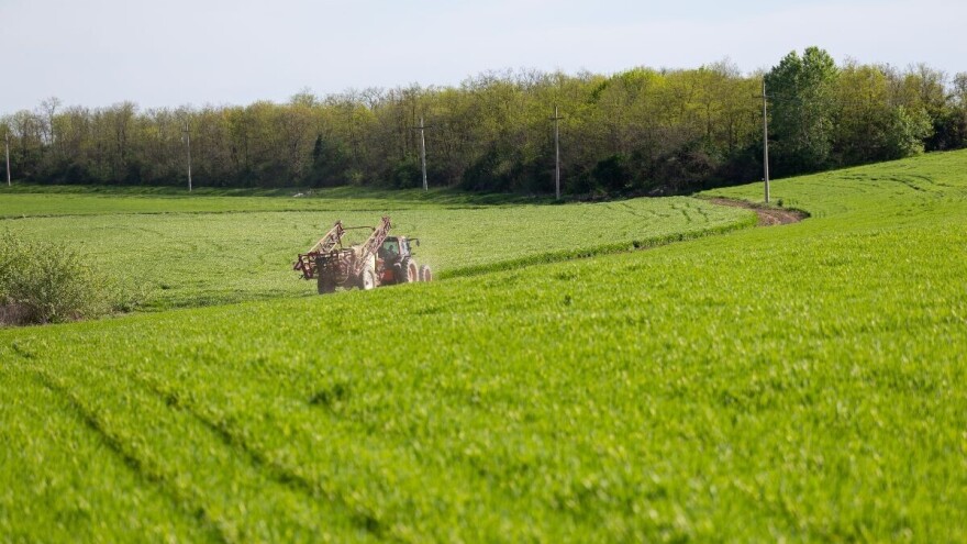 Kukanje pšenice roda 2024: Ako se ne vjeruje seljaku, brojkama mora