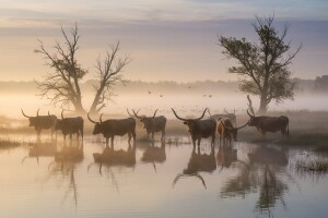 Baranjski turistički biser magnet za turiste