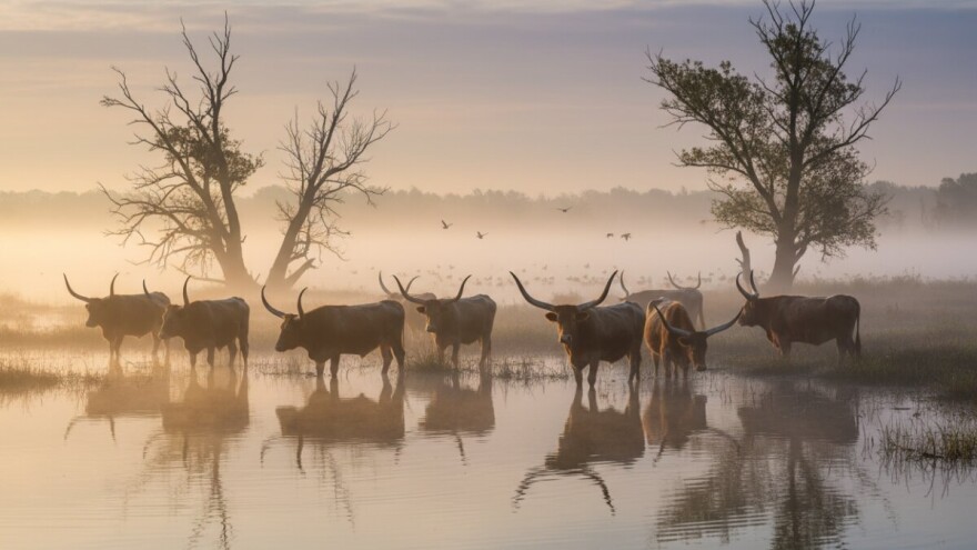 Baranjski turistički biser magnet za turiste