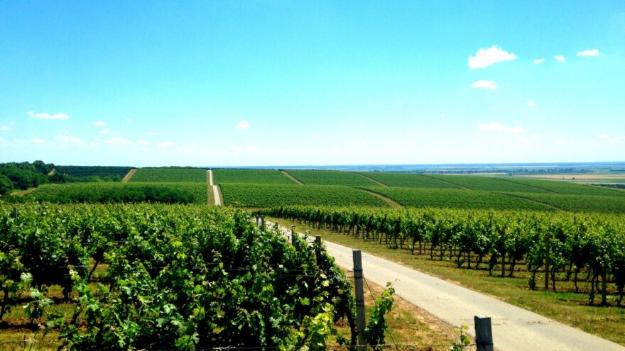 LAG Baranja, naglasak je na mladima i demografskoj obnovi ruralnih prostora