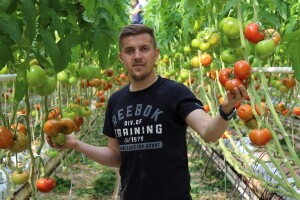 Ove će godine ubrati više od 1.000 tona rajčice, a krenuli su iz "bašče"