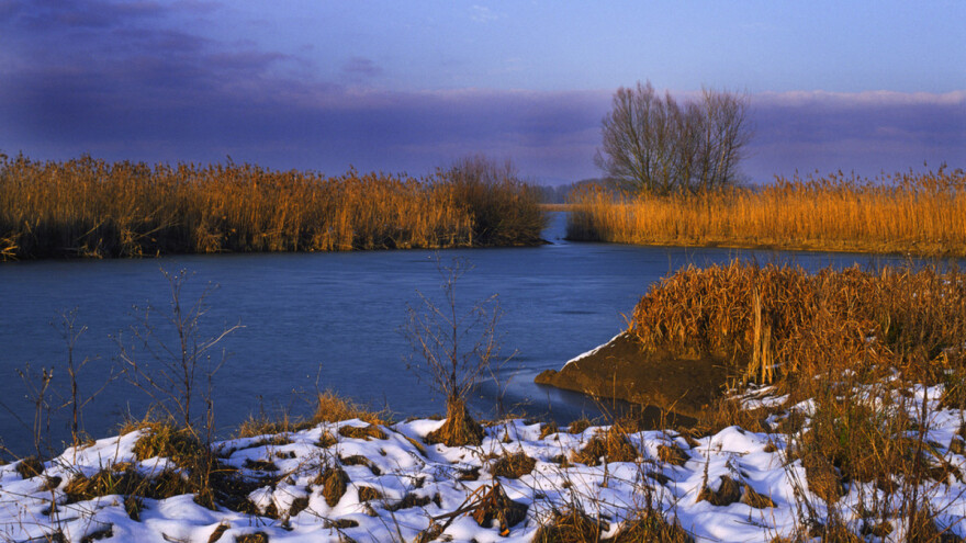 Viktor Bijelić: Pokrenut ćemo ponovo inicijativu za proglašenje Bardače kao zaštićenog područja