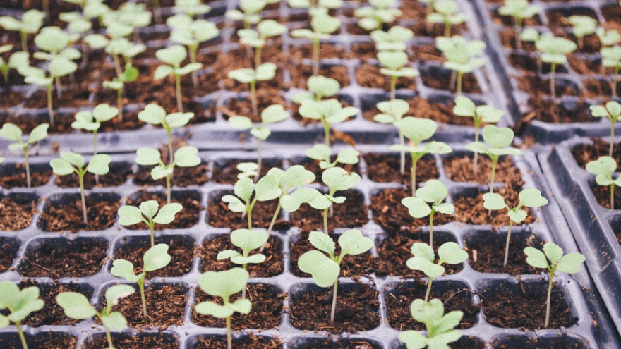 Ukoniti bespotrebne barijere klasifikacije roba