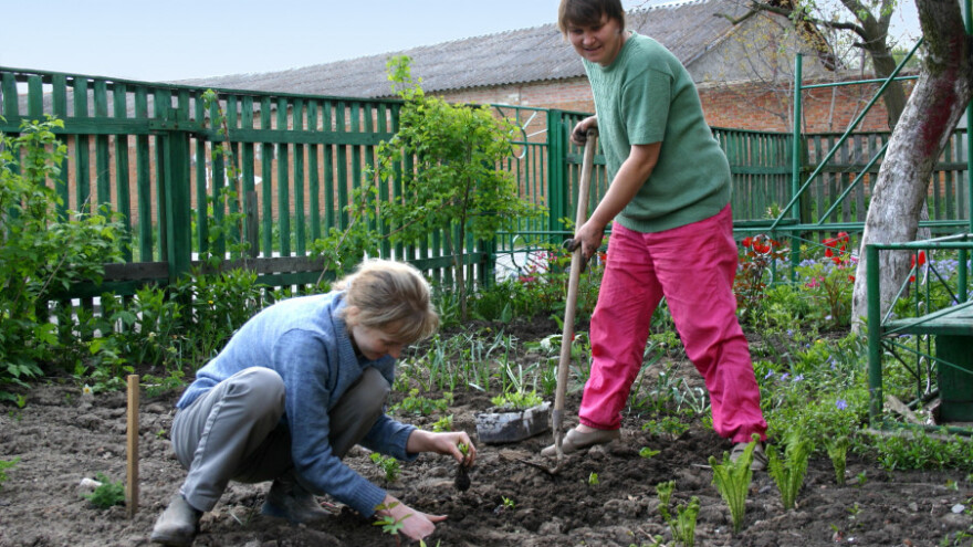 Radovi u bašči tokom marta