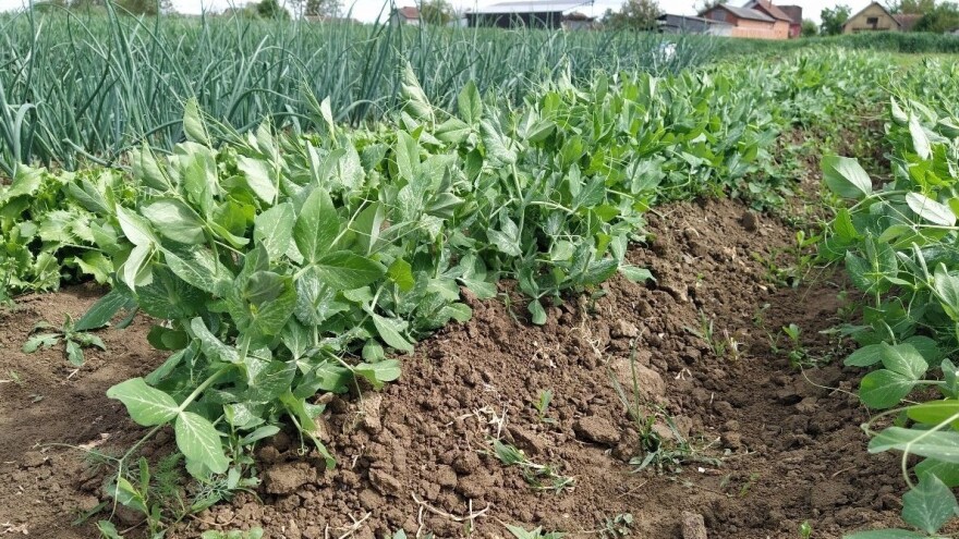 Objavljeni novi natječaji za Mjeru 21 vrijedni 200 milijuna kuna