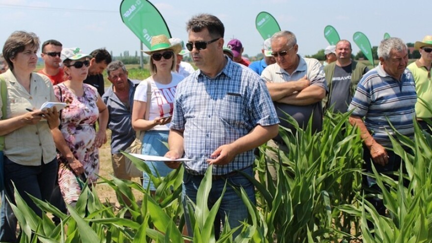 Veliki Dan polja tvrtke BASF!