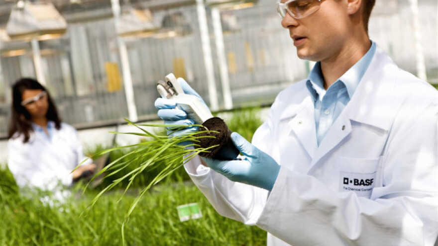 Snažan rast BASF-ovog sektora Zaštite bilja!