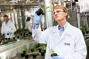BASF poljoprivrednom strategijom planira rast na određenim tržištima uz pomoć inovacija