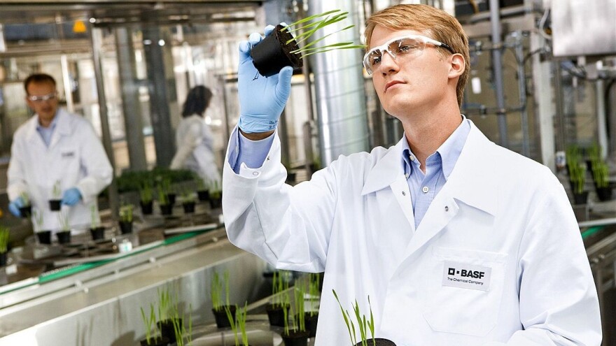 BASF poljoprivrednom strategijom planira rast na određenim tržištima uz pomoć inovacija