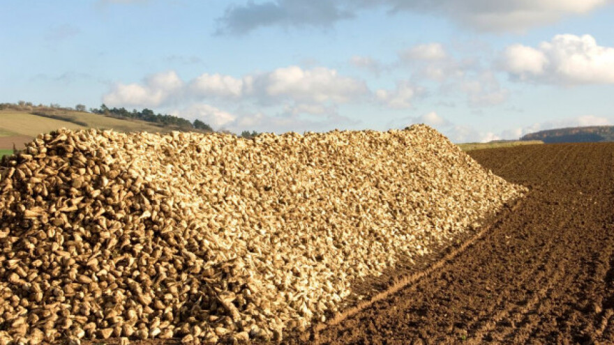 Očekuje se veća cijena šećera u EU